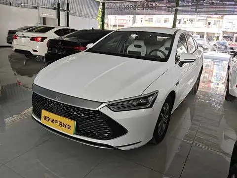 BYD 秦PLUS DM 2024 — фото 1