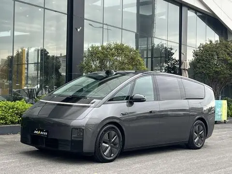 Li MEGA 2024