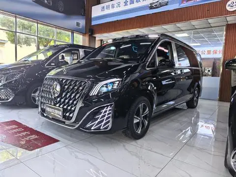 Mercedes-Benz 威霆 2024