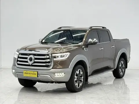 Great Wall 炮 2021