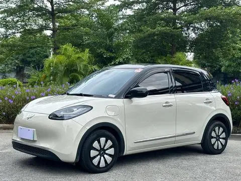 Wuling Bingo 2024