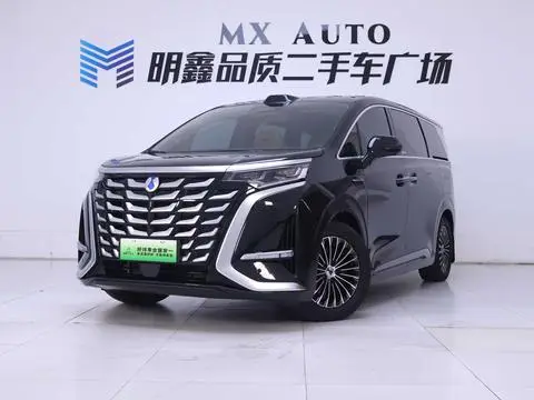 Denza D9 DM 2025
