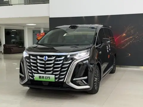 Denza D9 DM 2025