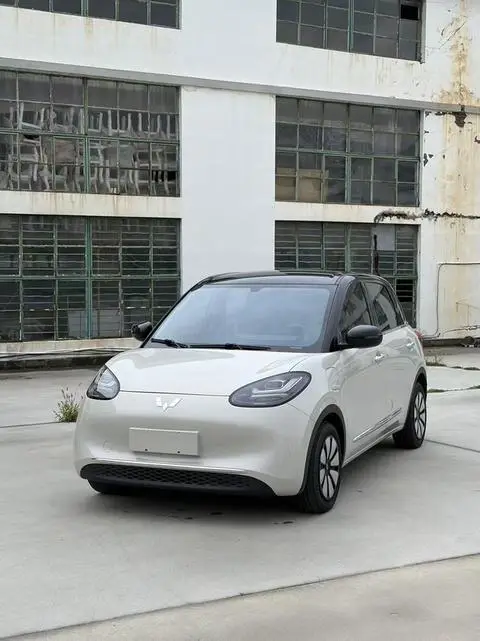 Wuling Bingo 2024