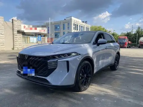 Venucia 大V 2022