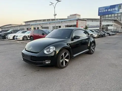 Volkswagen 甲壳虫 2015