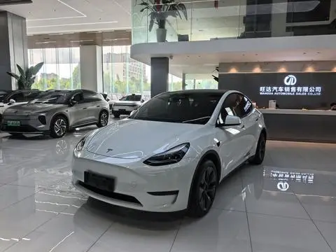 Tesla Model Y 2024 — фото 1