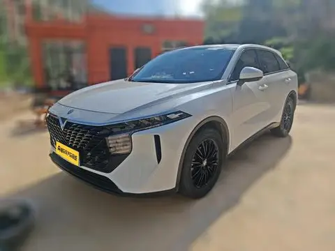 Venucia 大V 2023