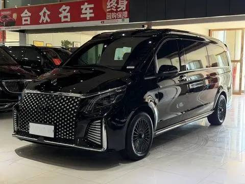 Mercedes-Benz 威霆 2023