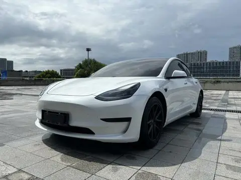 Tesla Model 3 2021 — фото 1