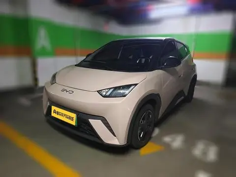 BYD Seagull 2024