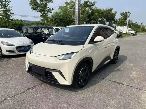 BYD Seagull 2024
