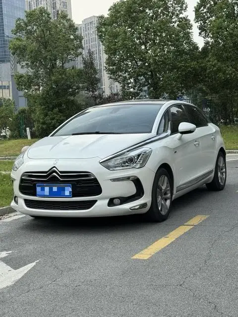 DS 5 2014