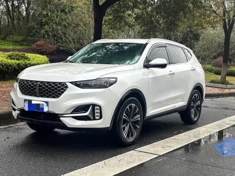 Wey VV6 2020