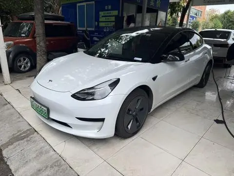 Tesla Model 3 2021 — фото 1