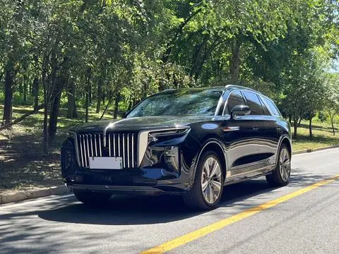 Hongqi E-HS9 2020