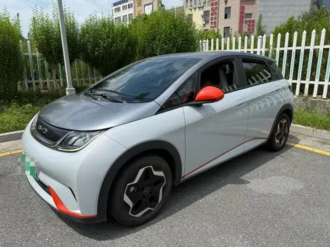 BYD Dolphin 2021