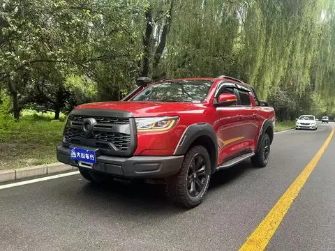 Great Wall 炮 2020