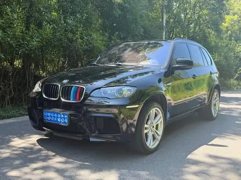 BMW X5 M 2010 — фото 1