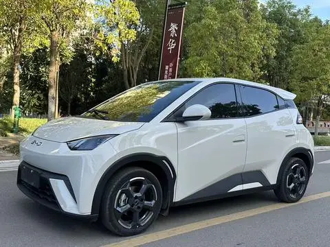 BYD Seagull 2024