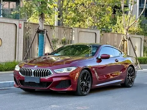 BMW 8 Series 2019