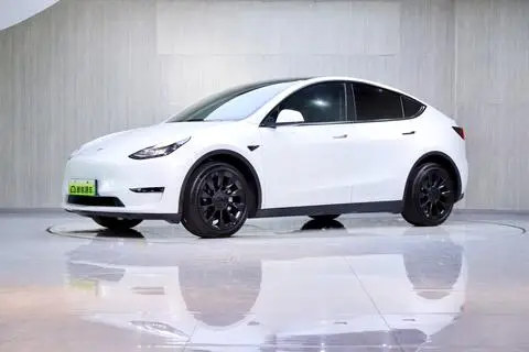 Tesla Model Y 2021 — фото 1