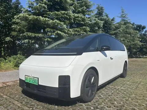 Li MEGA 2025