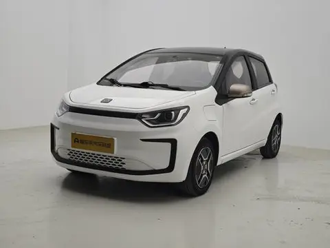 JAC (Sihao) 花仙子 2021