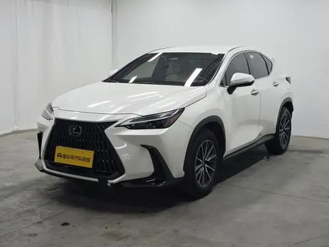 Lexus NX 2024 — фото 1
