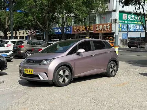 BYD Dolphin 2023
