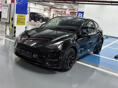 Tesla Model Y 2021