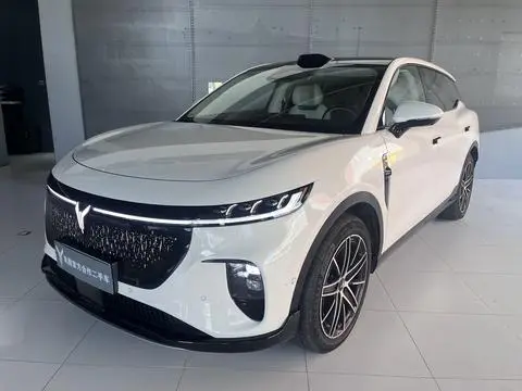 Voyah 知音 2025