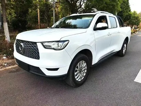 Great Wall 炮 2019