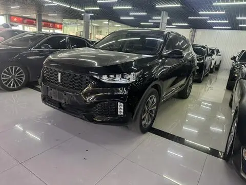 Wey VV6 2018
