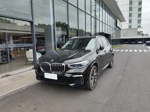 BMW X5 2022