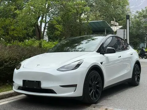 Tesla Model Y 2021 — фото 1