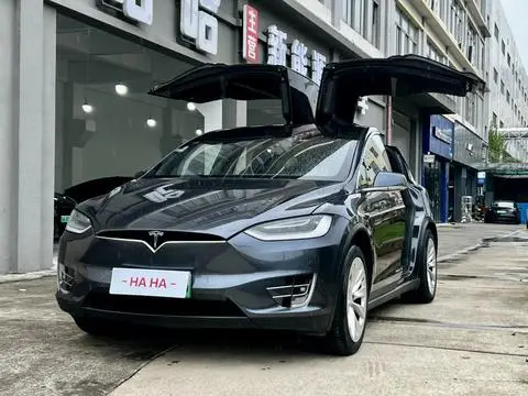 Tesla Model X 2019