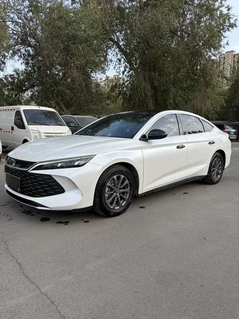 BYD 秦L DM 2024