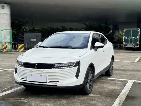 ORA iQ 2019