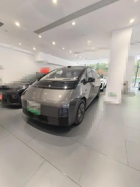 Li MEGA 2025