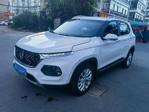 Baojun 510 2019