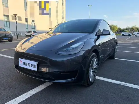 Tesla Model Y 2024 — фото 1