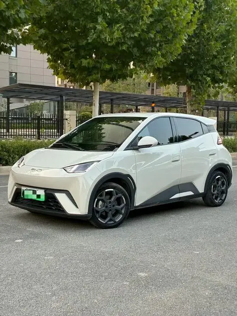 BYD Seagull 2025