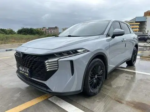 Venucia 大V 2023