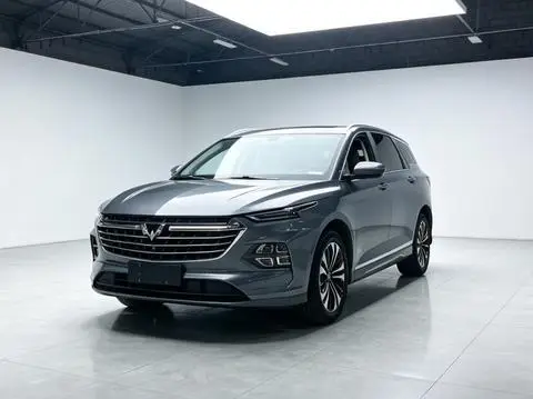 Wuling 凯捷Victory 2020