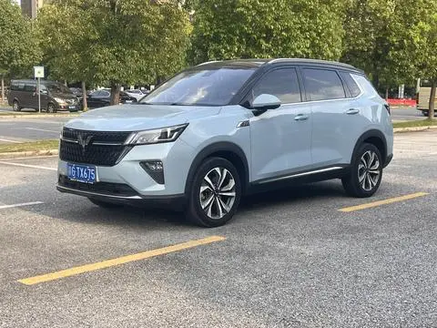 Wuling Xingchen 2021