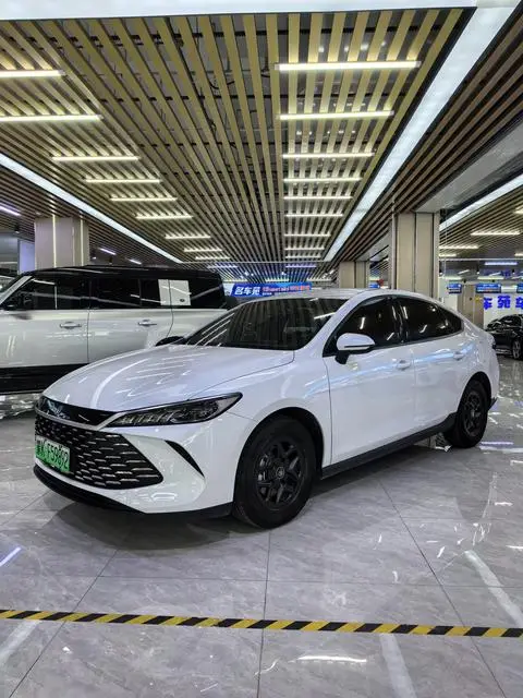 BYD 秦PLUS DM 2025