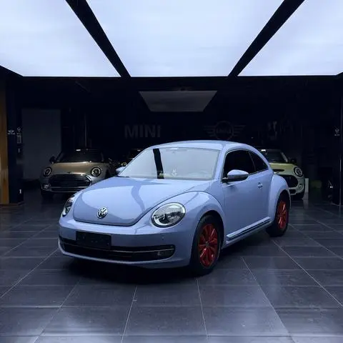 Volkswagen 甲壳虫 2014