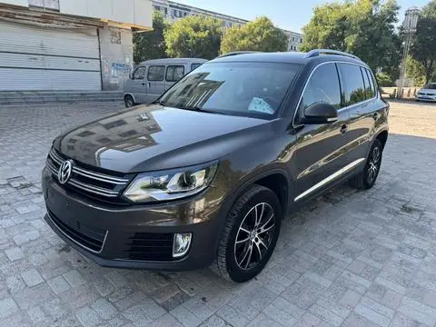 Volkswagen Tiguan 2013