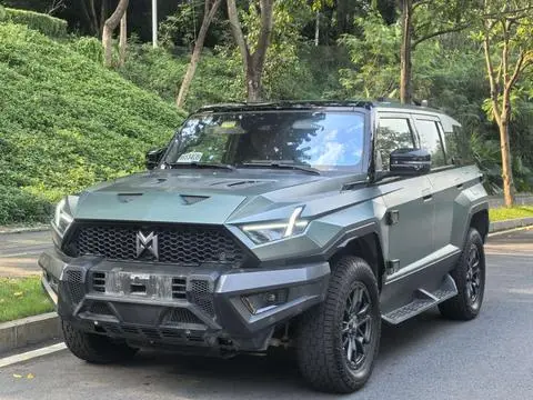 Mengshi 917 2023